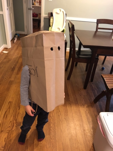 Not many toys . . . how 'bout a bag costume?